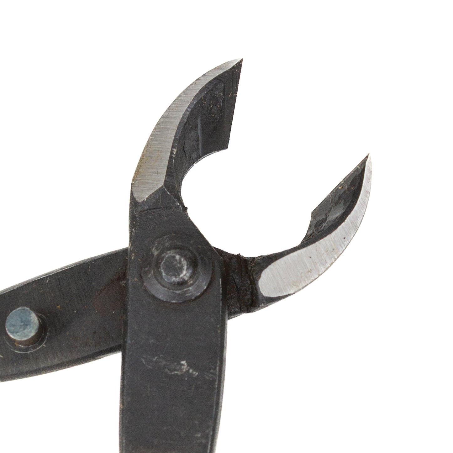 Bonsai Kaneshin Konkavzange 165 mm