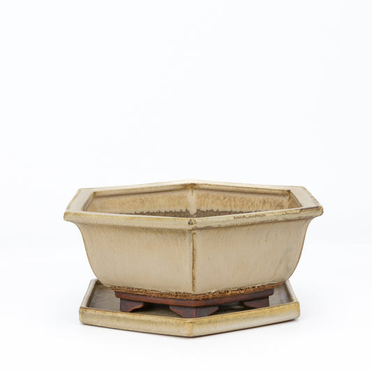 Bonsai pot beige mat zeshoek 21.5 cm - set