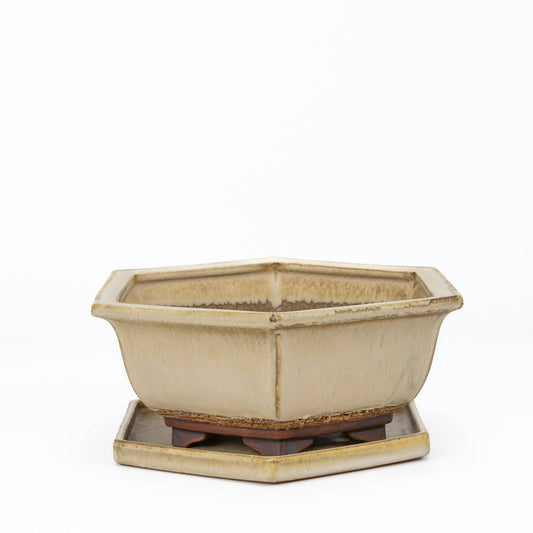 Bonsai pot beige mat zeshoek 21.5 cm - set
