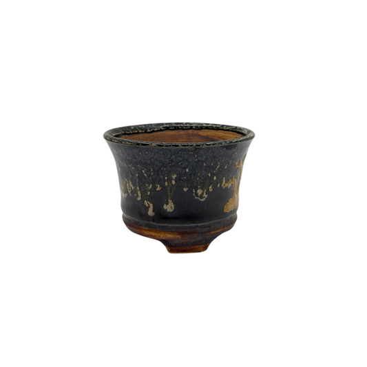 Shohin-Bonsai-Schale schwarz mit Gold René Lecocq 9cm