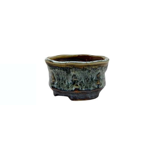Shohin Bonsai Schale braun creme René Lecocq 9cm