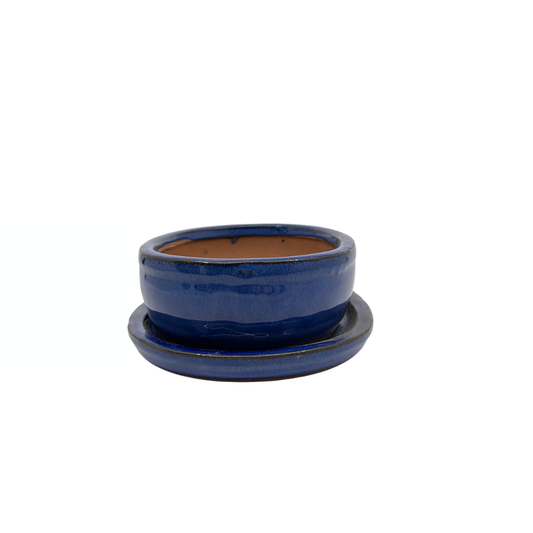 Bonsai-Topf blau oval 16 cm - Set
