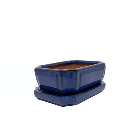 Bonsai-Topf blau rechteckig 15 cm - Set