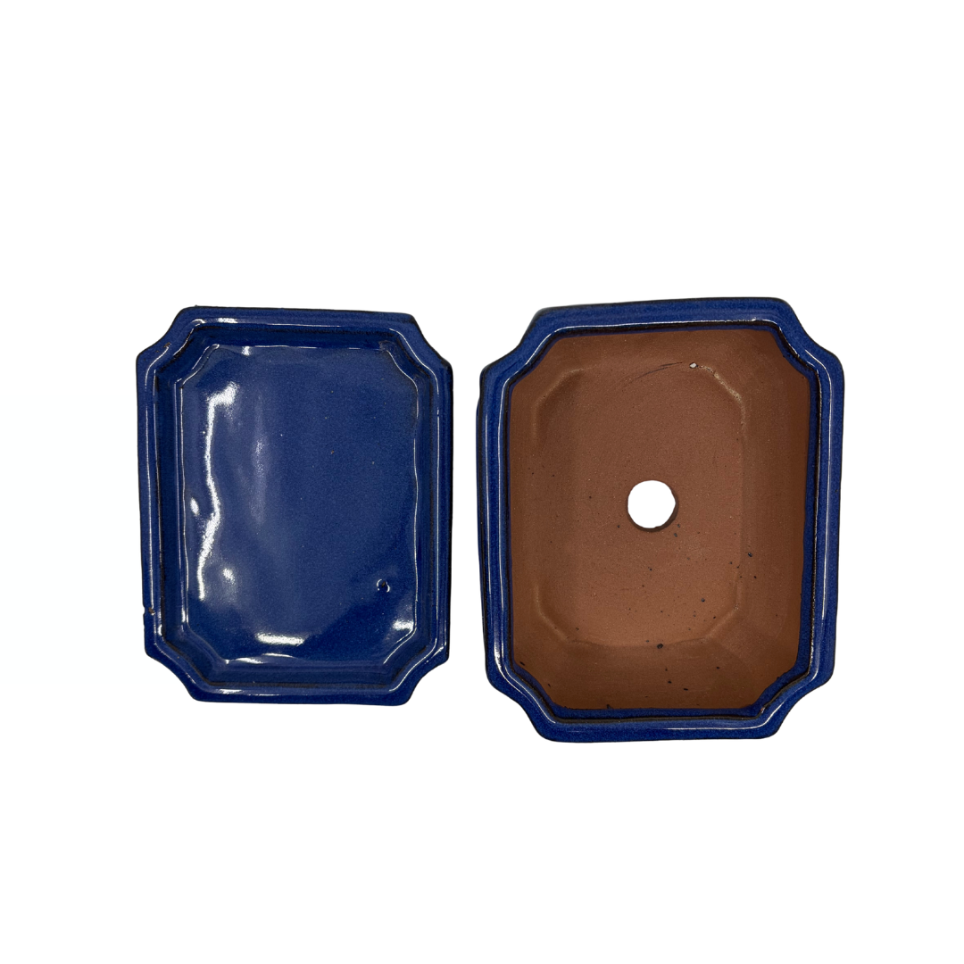 Bonsai-Topf blau rechteckig 15 cm - Set