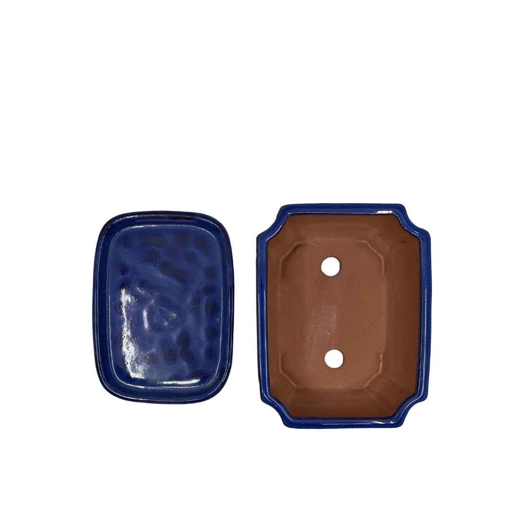 Bonsaischale blau rechteckig 20cm - Set