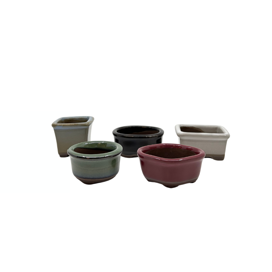 Mame Schalenset (5)