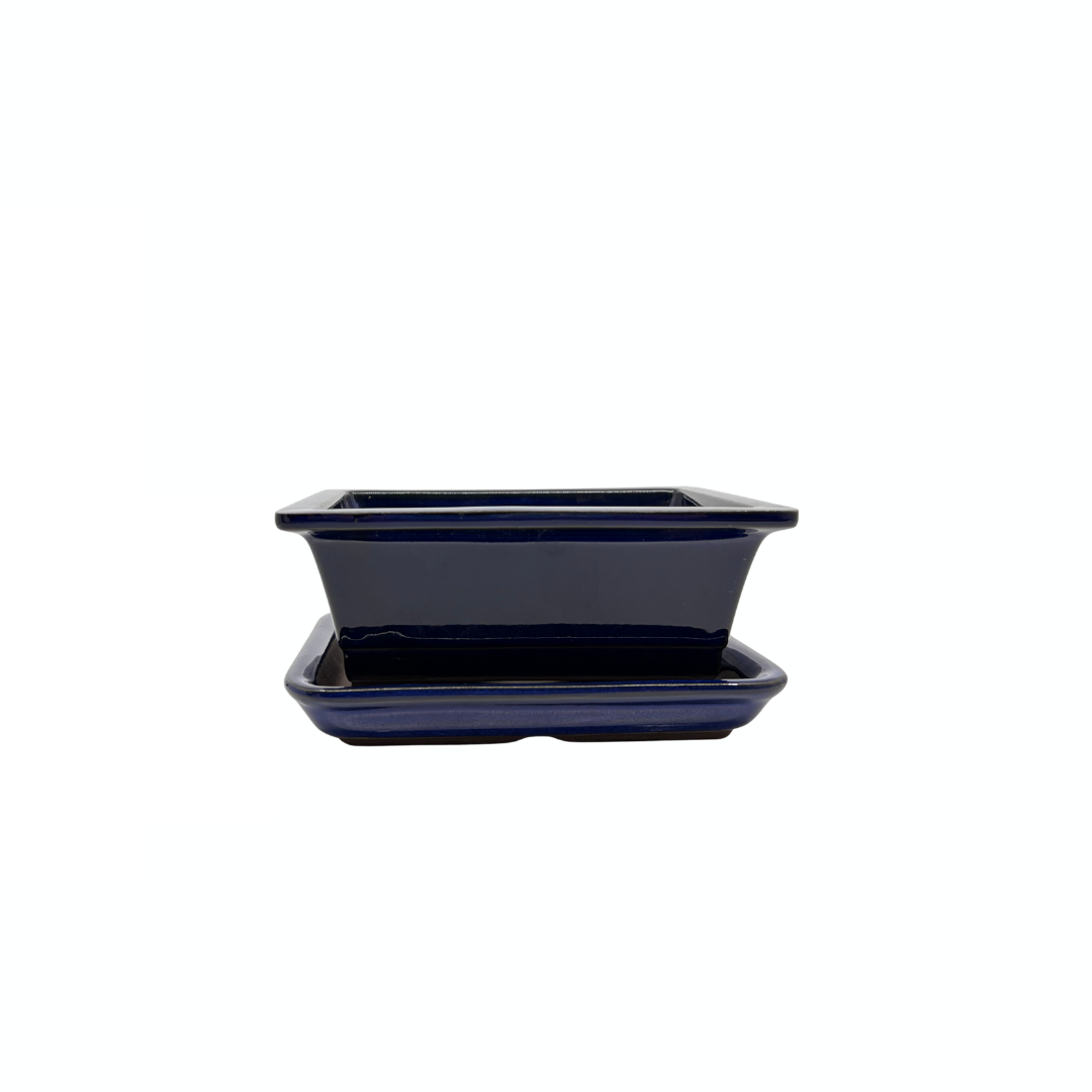 Bonsai-Topf-Set – rechteckig, glasiert, blau (14 cm breit)