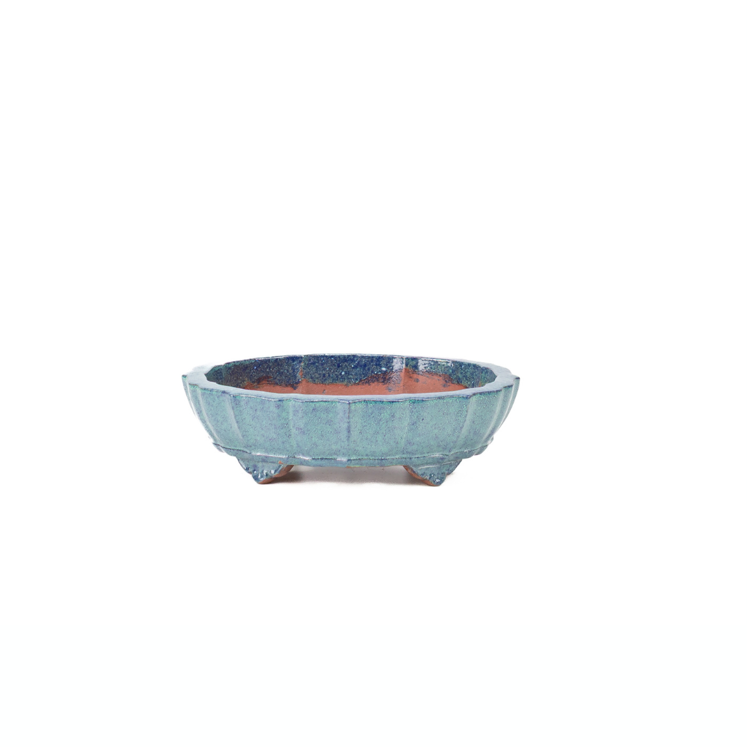 Bonsai-Schale, blaugrüne Chrysantheme, 17 cm