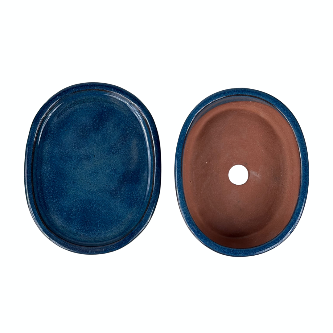 Bonsai-Topf blau oval 16 cm - Set