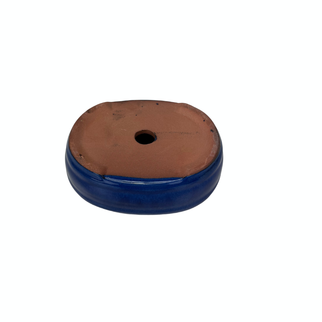 Bonsai-Schale, dunkelblau, oval, 16 cm – Set