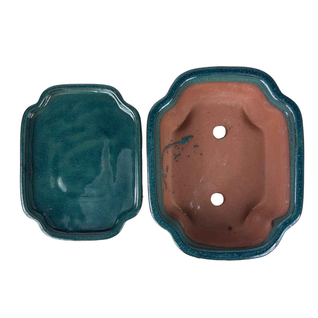 Bonsai-Schale grüner Mokko 32 cm - Set