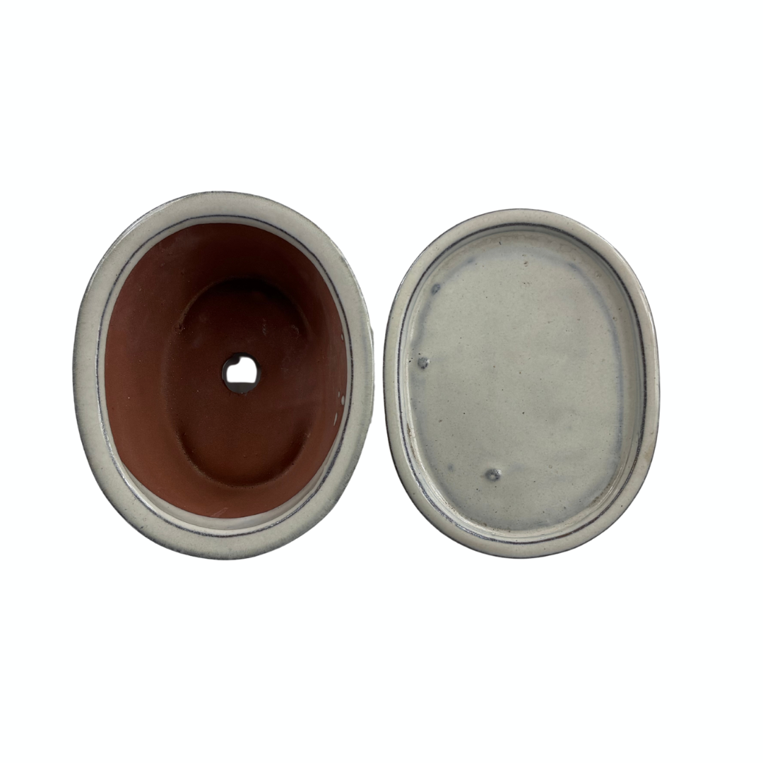 Bonsai-Topf, cremefarben, oval, 31 cm - Set