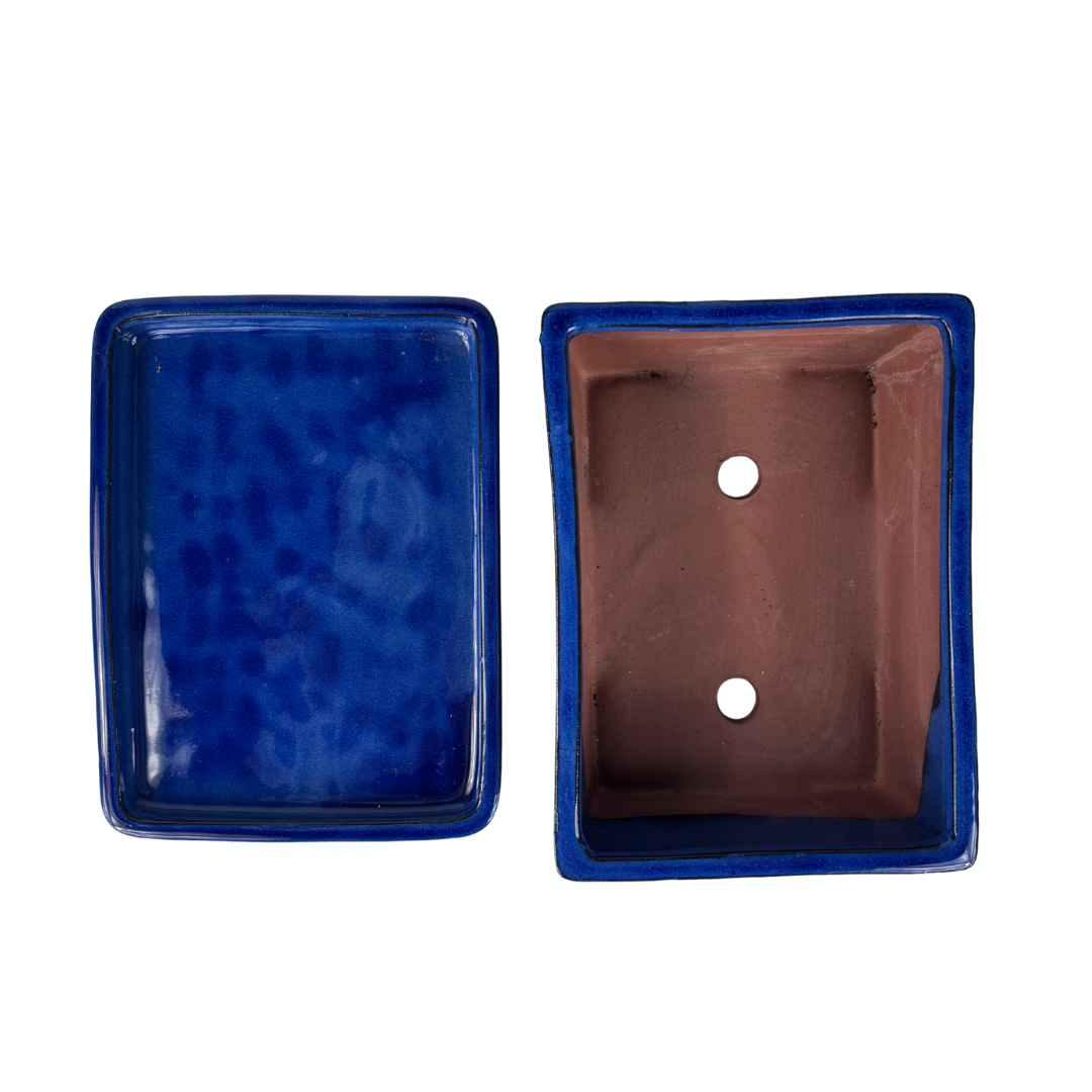 Bonsai-Schale blau rechteckig 30 cm - Set