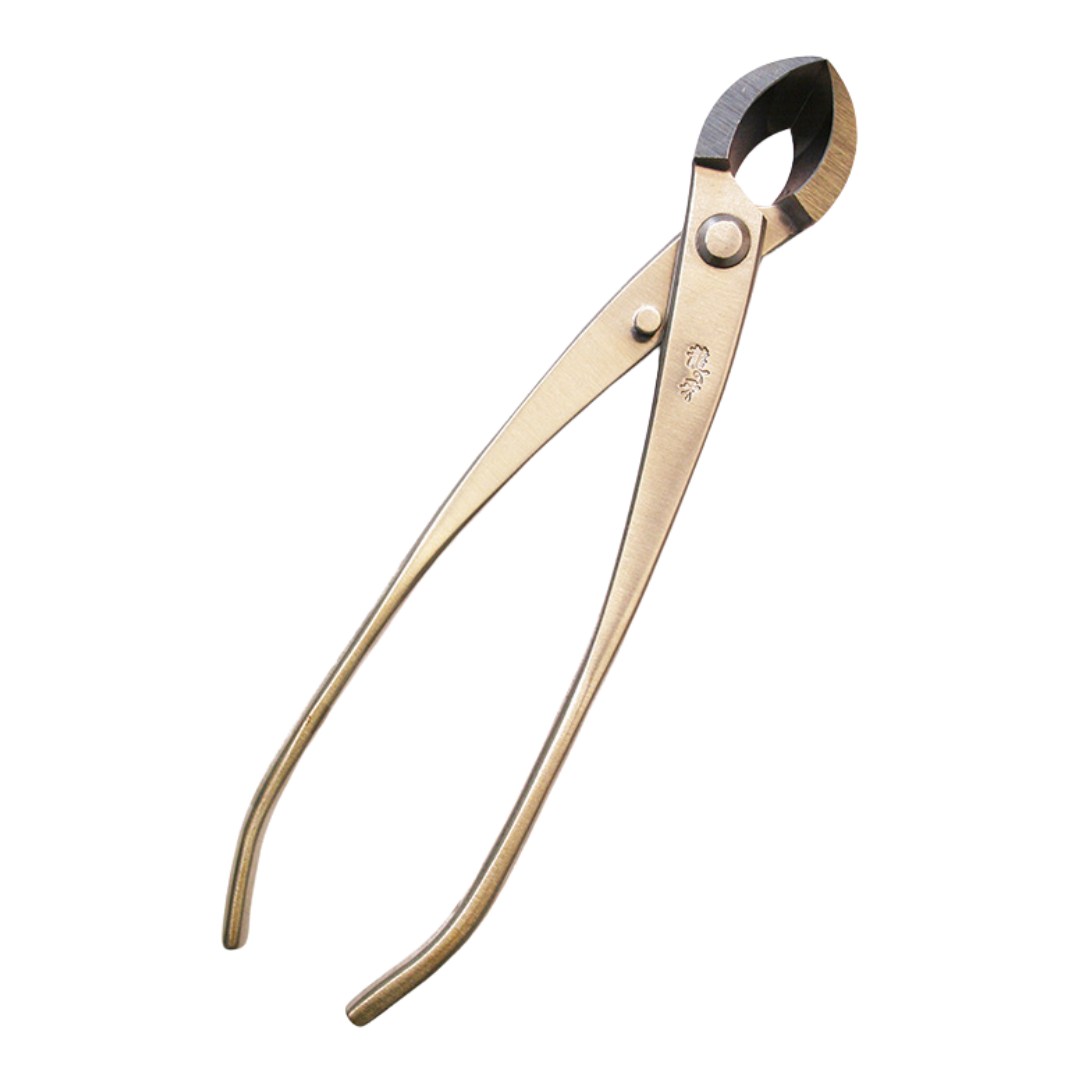 Bonsai Ryuga Rund-Konkavzange Edelstahl 205 mm