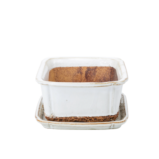Bonsaischale weiß rechteckig 17,5 cm - Set