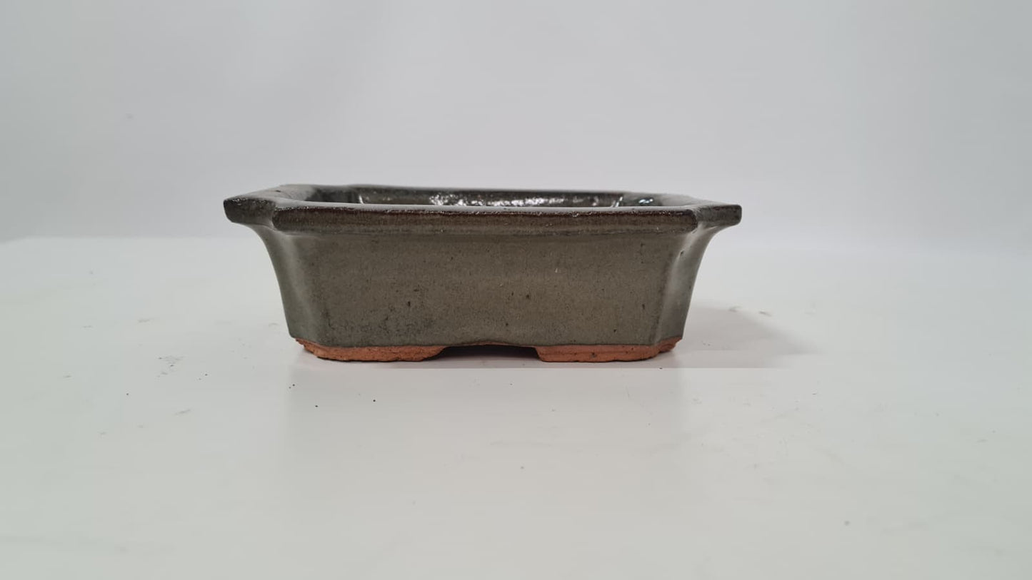 Bonsai Untersetzer grün 15cm