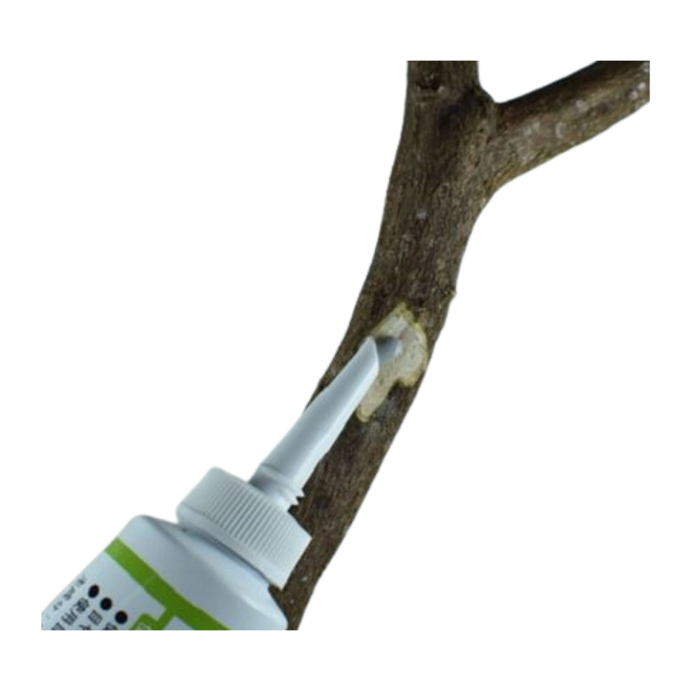 Bonsai flüssige Wundpaste (Kiyonal Ace 100g)