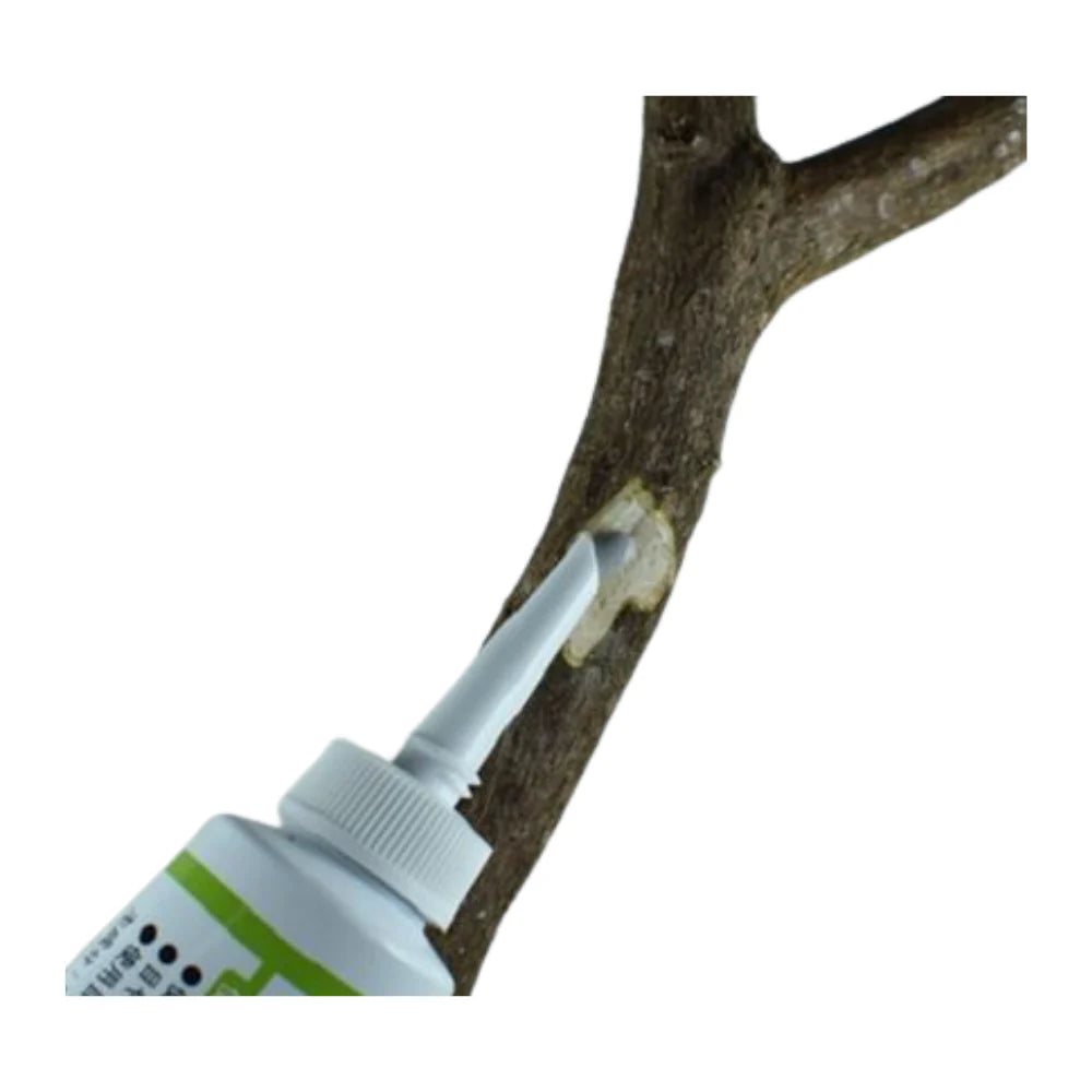 Bonsai flüssige Wundpaste (Kiyonal Ace 100g)