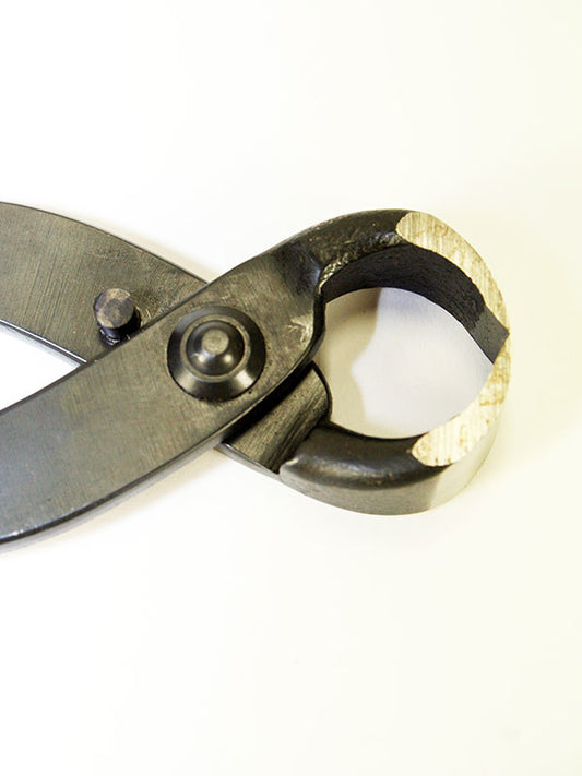 Bonsai worteltang 210 mm