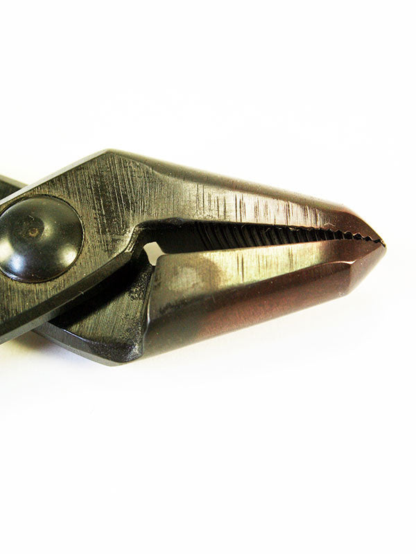 Bonsai jintang 180 mm