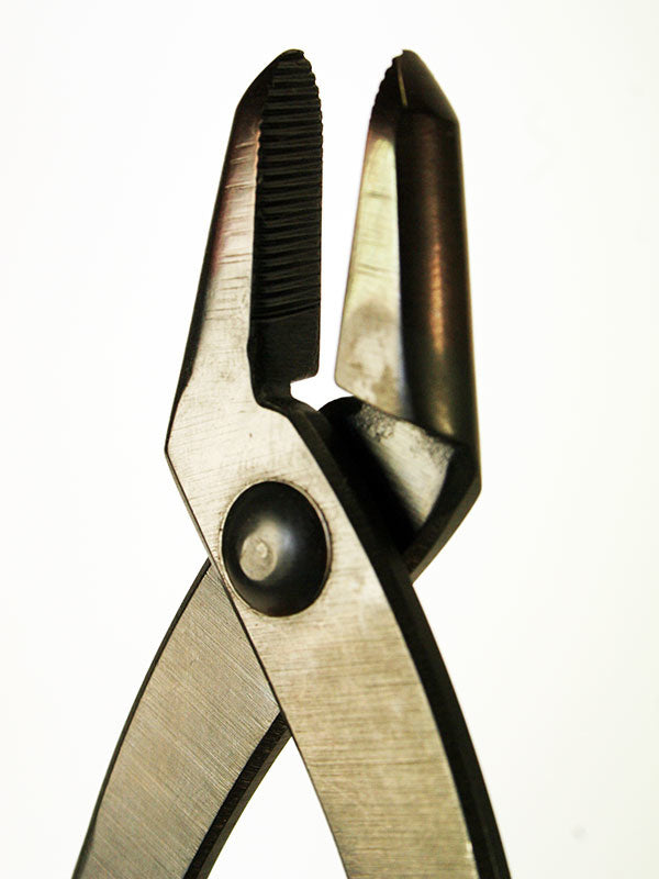 Bonsai jintang 180 mm