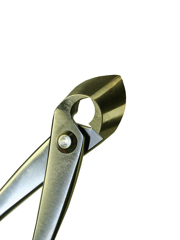 Bonsai concaaftang RVS 180 mm