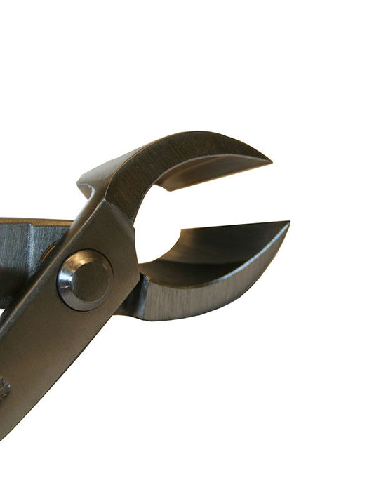 Bonsai Ryuga concaaftang RVS 170 mm