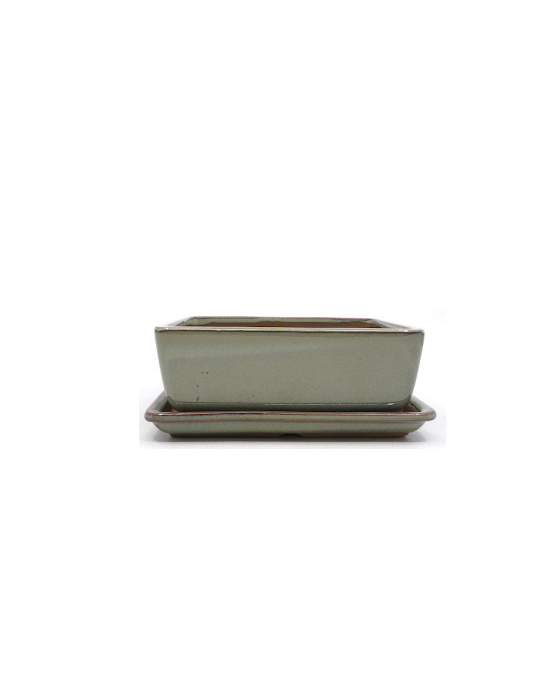 Bonsai-Schale grün-beige rechteckig 12 cm – Set