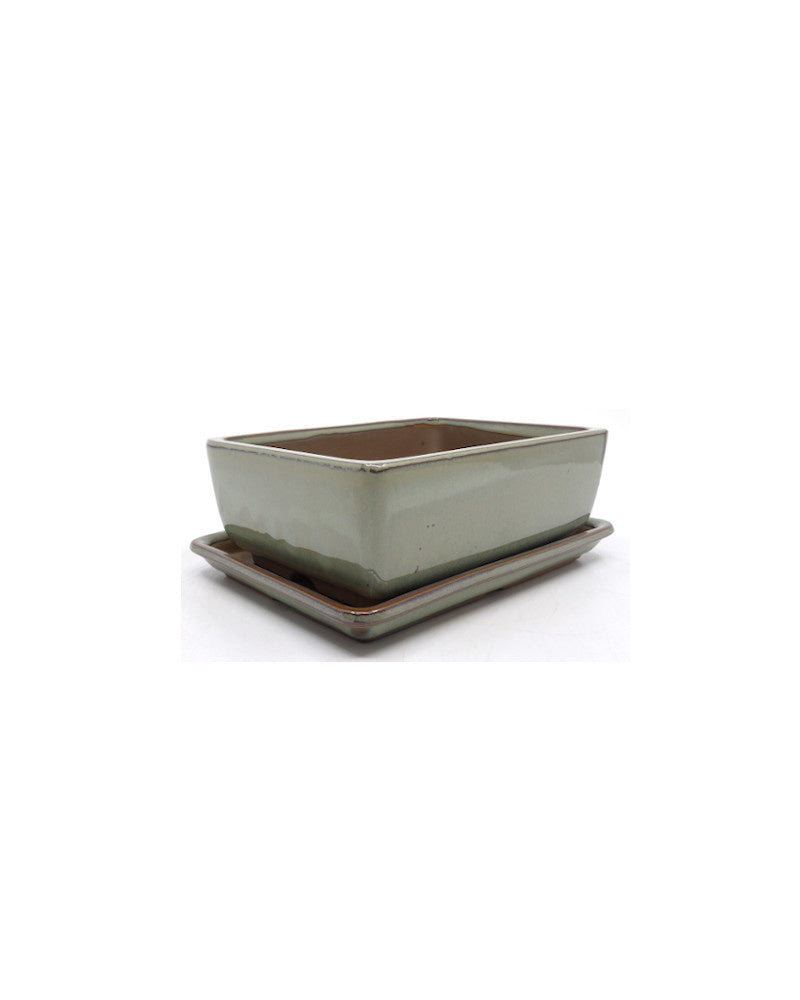 Bonsai pot groen beige rechthoekig 12cm - set