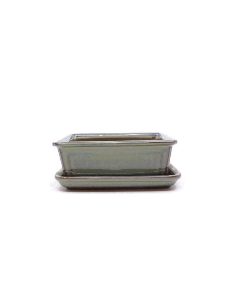 Bonsai-Schale grün-beige, rechteckig, 15 cm – Set