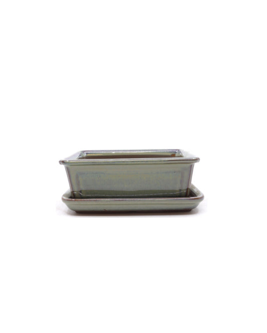 Bonsai-Schale grün-beige, rechteckig, 15 cm – Set