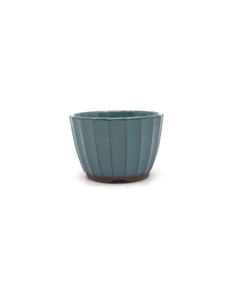 Shohin Bonsai pot groen chrysanten 10cm
