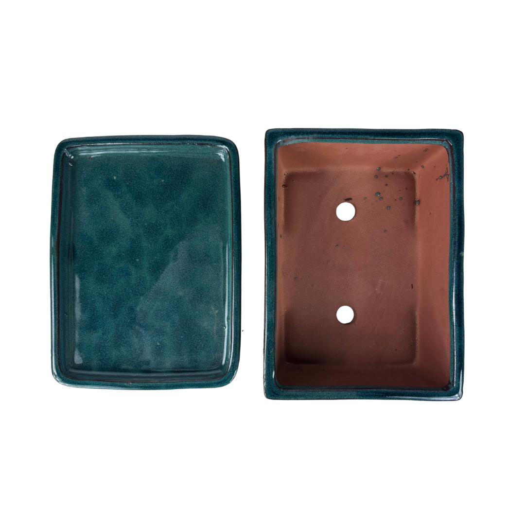 Bonsai-Schale grün rechteckig 30 cm - Set