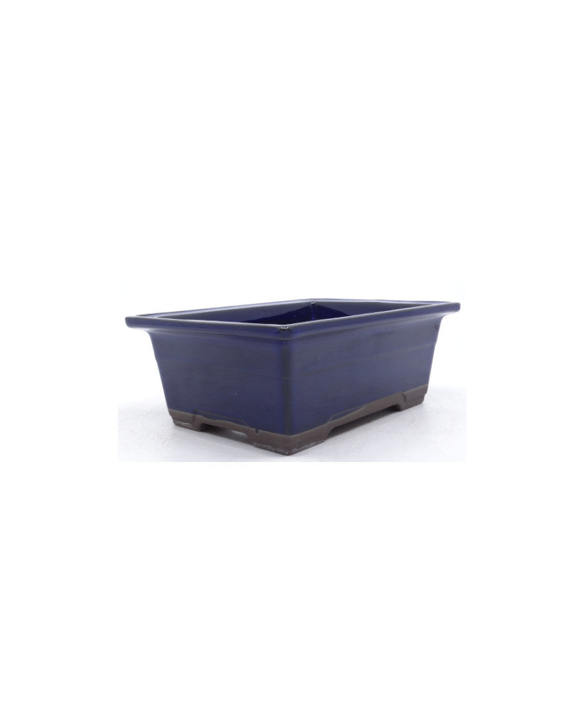 Bonsai pot blauwe rechthoekige 18cm