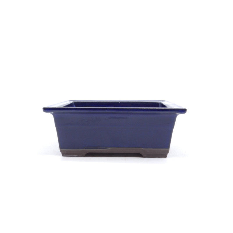 Bonsai-Schale blau rechteckig 22 cm