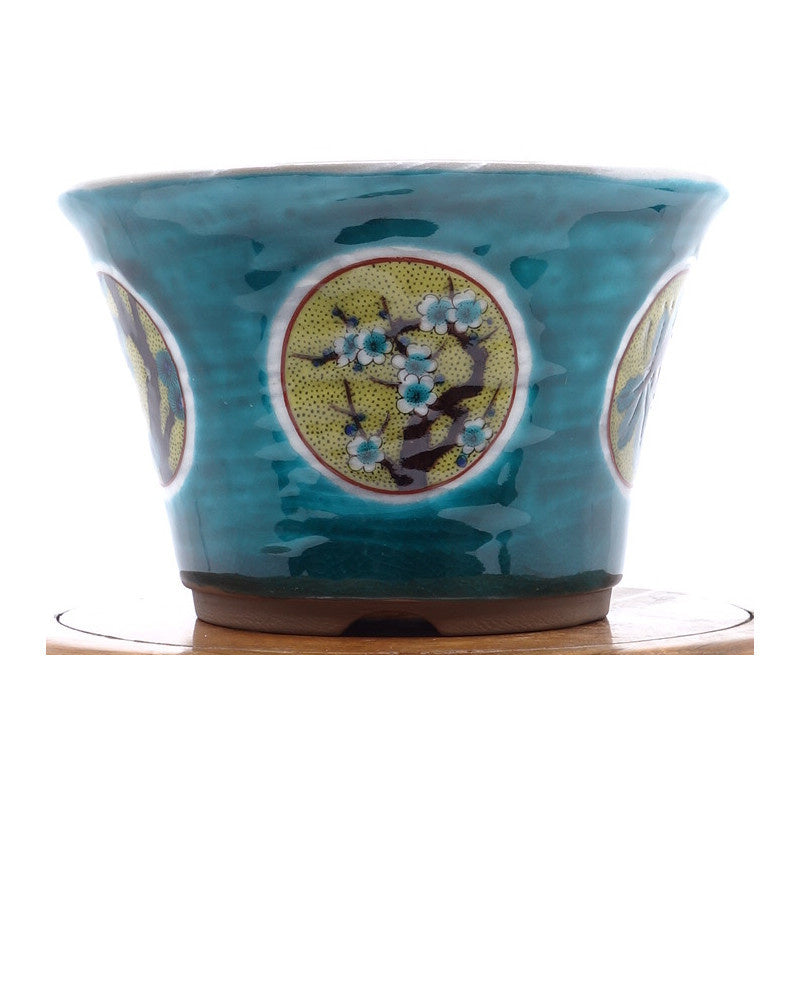 Bonsai pot Kutani yaki 'Matsutake Ume' hand geschilderde groene pot 12cm