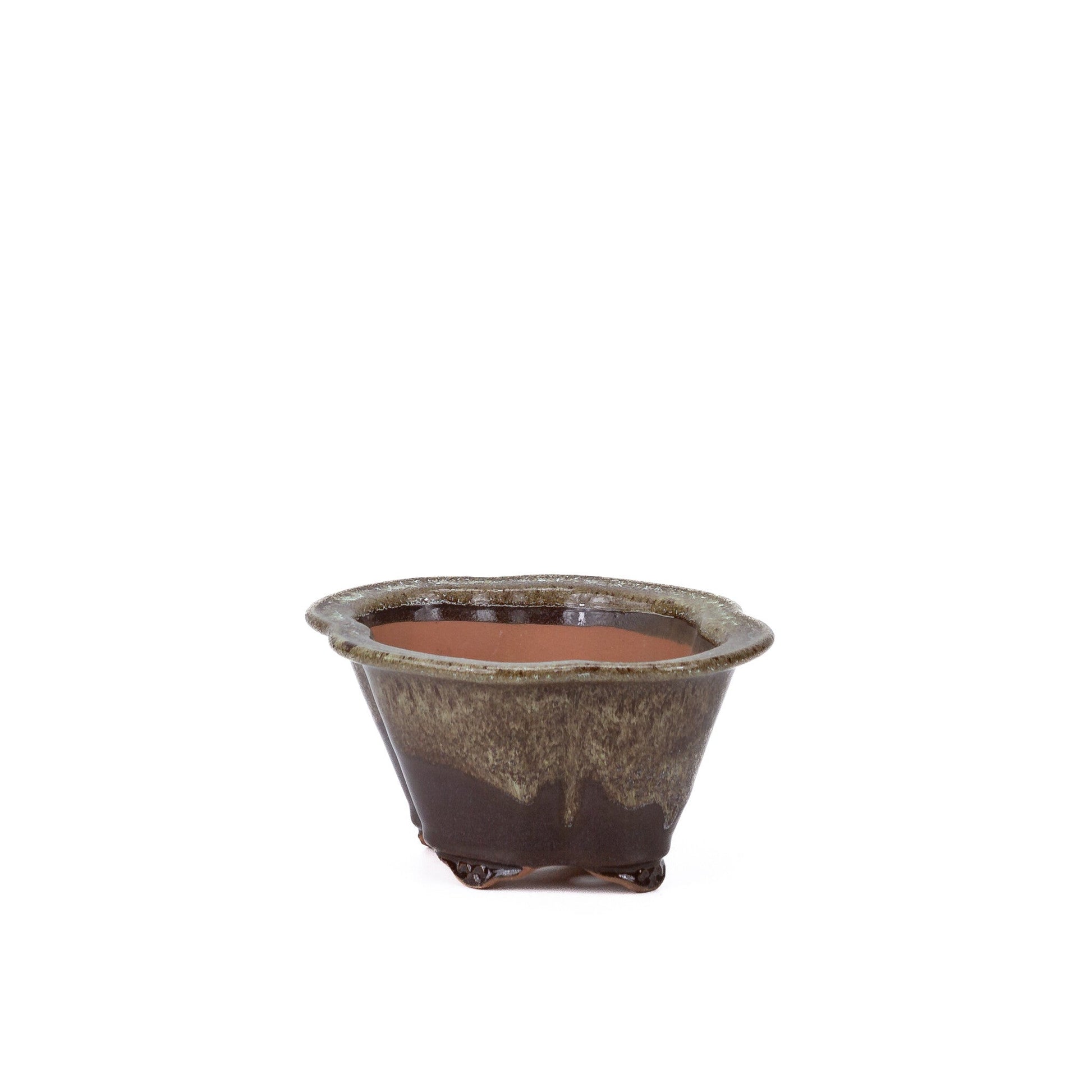 Bonsai pot chrysanten bruin beige 15.5cm