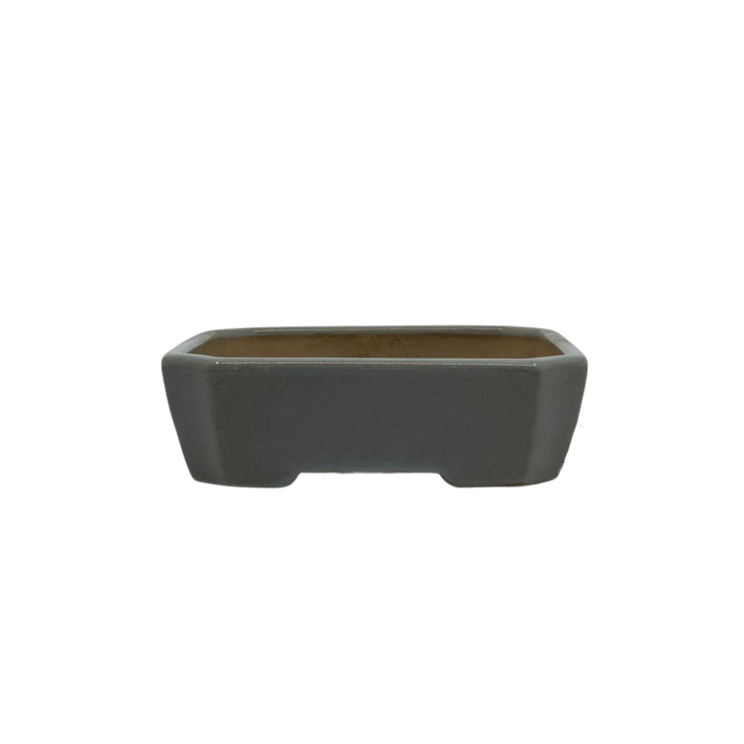 Bonsai-Topf - rechteckig, glasiert, hellblaugrau (17 cm breit)