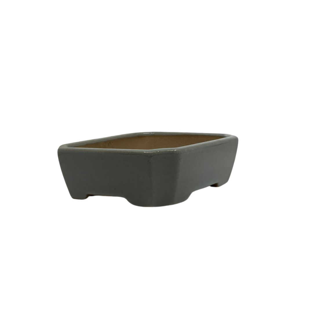 Bonsai-Topf - rechteckig, glasiert, hellblaugrau (17 cm breit)