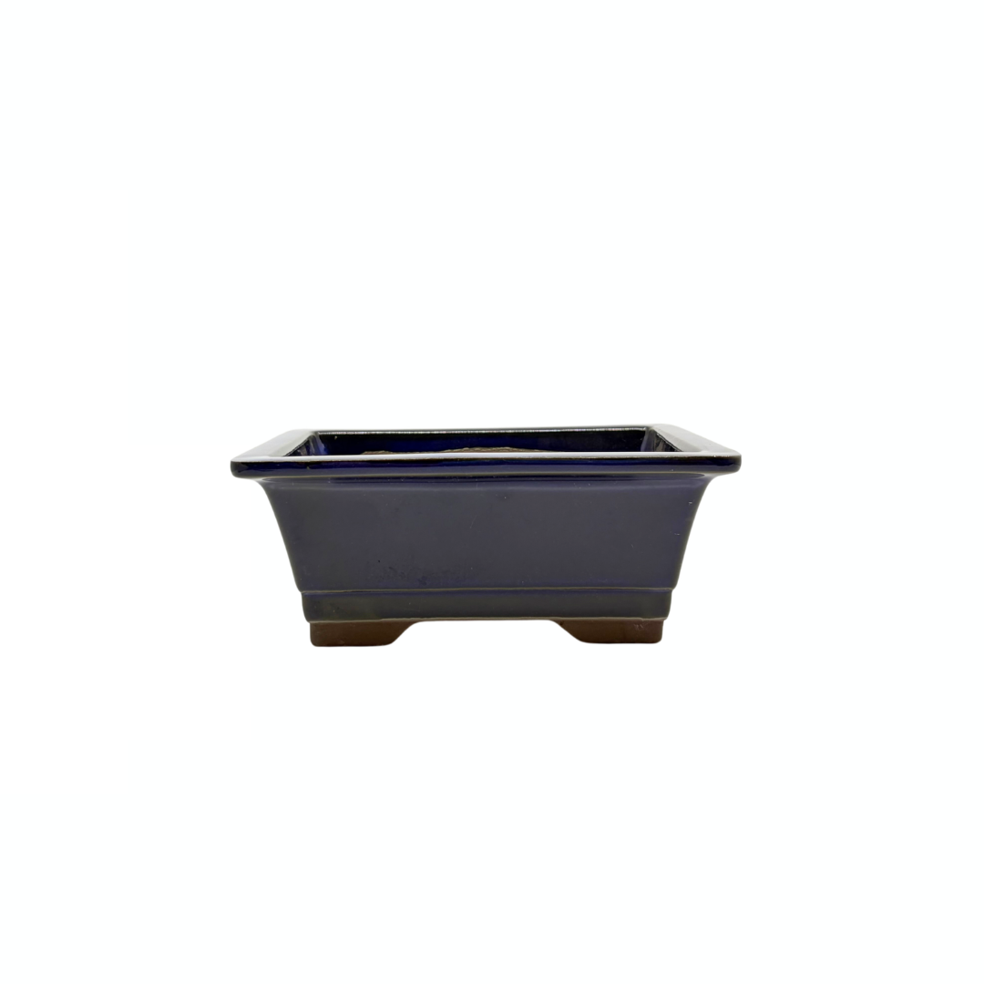 Bonsai-Topf-Set – rechteckig, glasiert, blau (14 cm breit) – Bonsai Shop