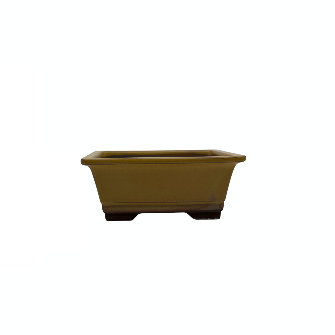 Bonsai-Topf-Set – rechteckig, glasiert, gelb (14 cm breit)