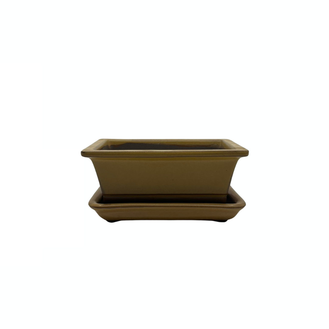 Bonsai-Topf-Set – rechteckig, glasiert, gelb (14 cm breit)