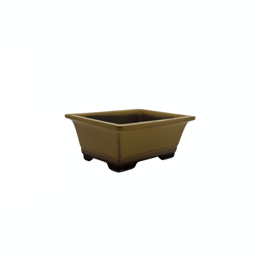 Bonsai-Topf-Set – rechteckig, glasiert, gelb (14 cm breit)
