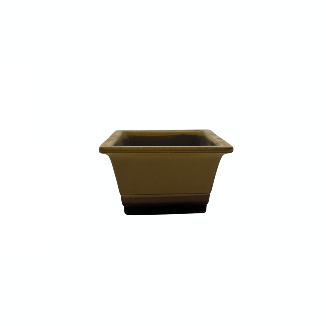 Bonsai-Topf-Set – rechteckig, glasiert, gelb (14 cm breit)