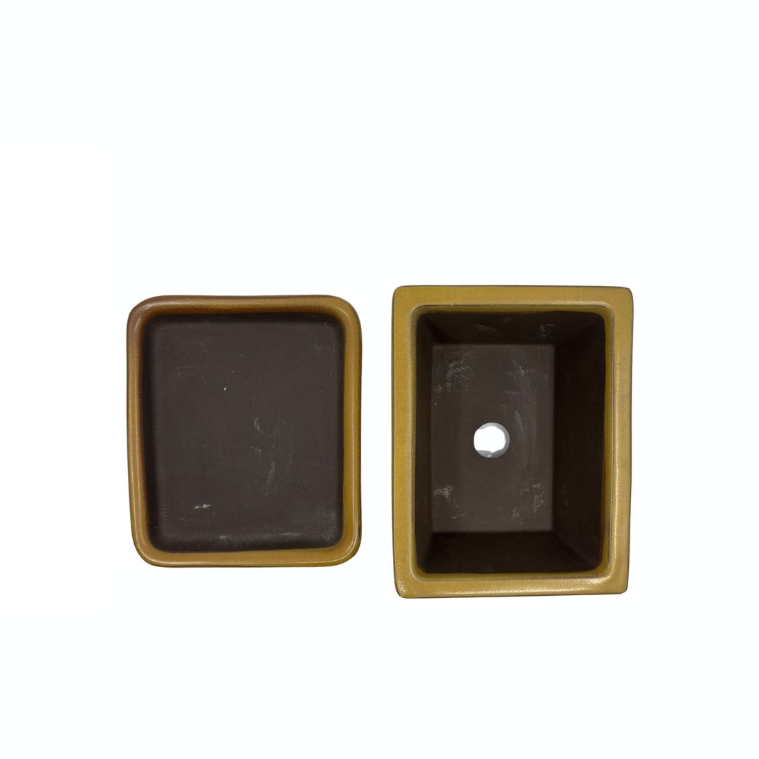 Bonsai-Topf-Set – rechteckig, glasiert, gelb (14 cm breit)