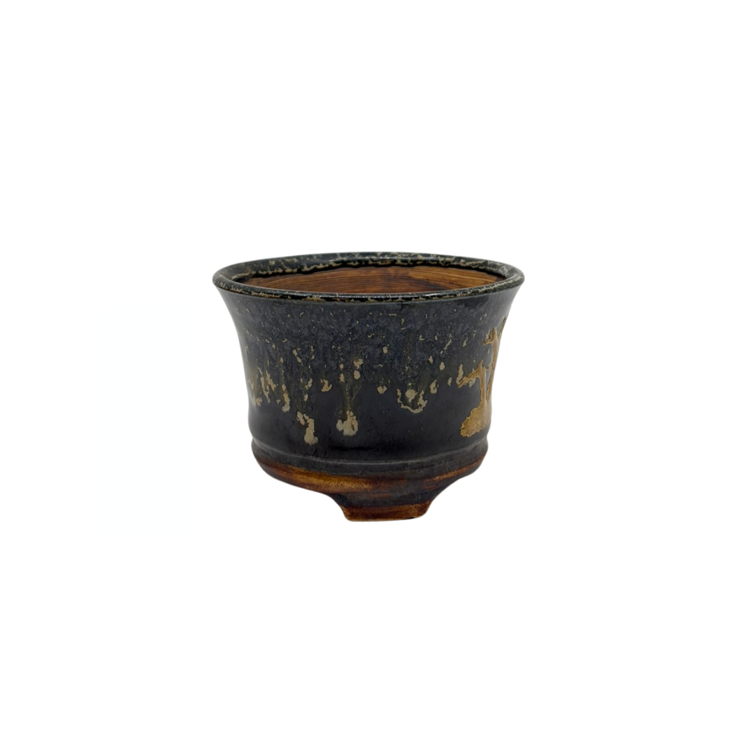 Shohin-Bonsai-Schale schwarz mit Gold René Lecocq 9cm