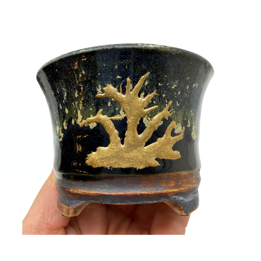 Shohin-Bonsai-Schale schwarz mit Gold René Lecocq 9cm