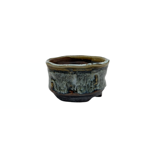 Shohin Bonsai Schale braun creme René Lecocq 9cm