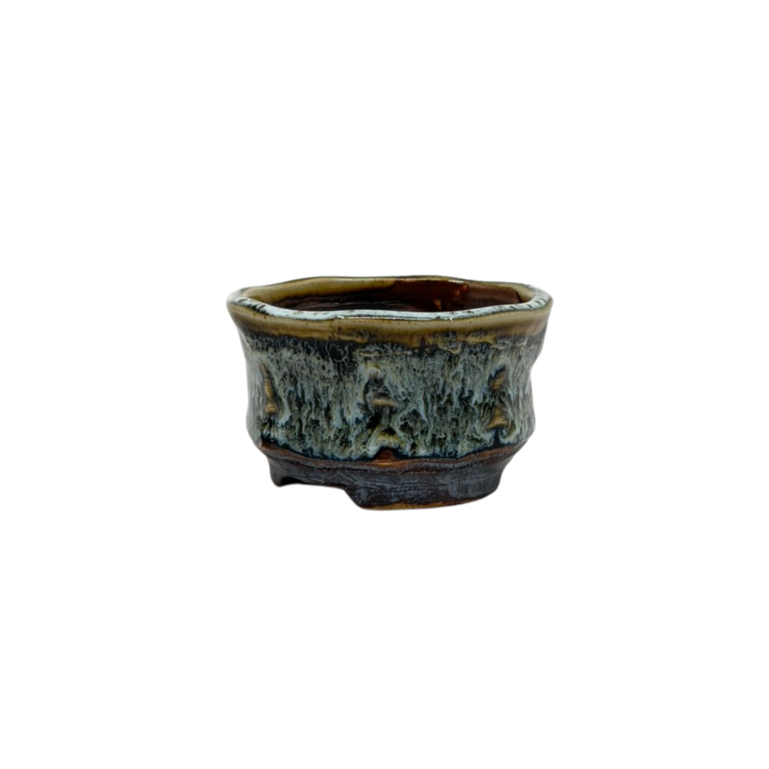 Shohin Bonsai Schale braun creme René Lecocq 9cm