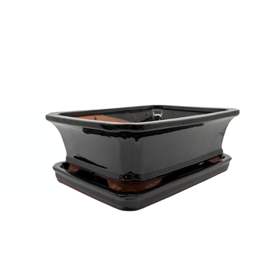 Bonsai-Schale, schwarz, rechteckig, 27 cm – Set